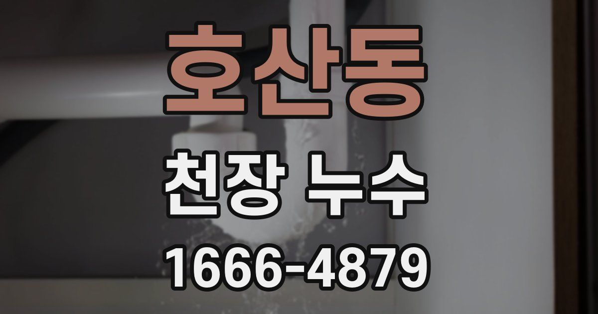 호산동 천장 누수