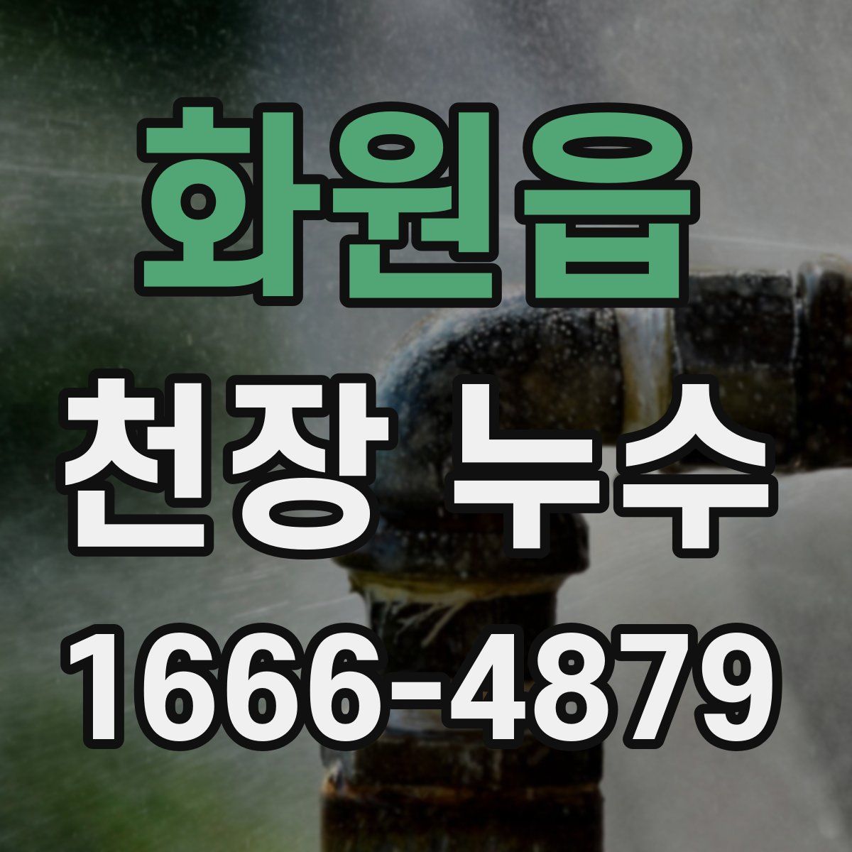 화원읍 천장 누수