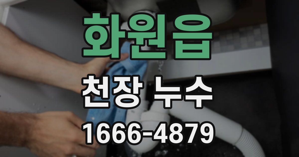 화원읍 천장 누수