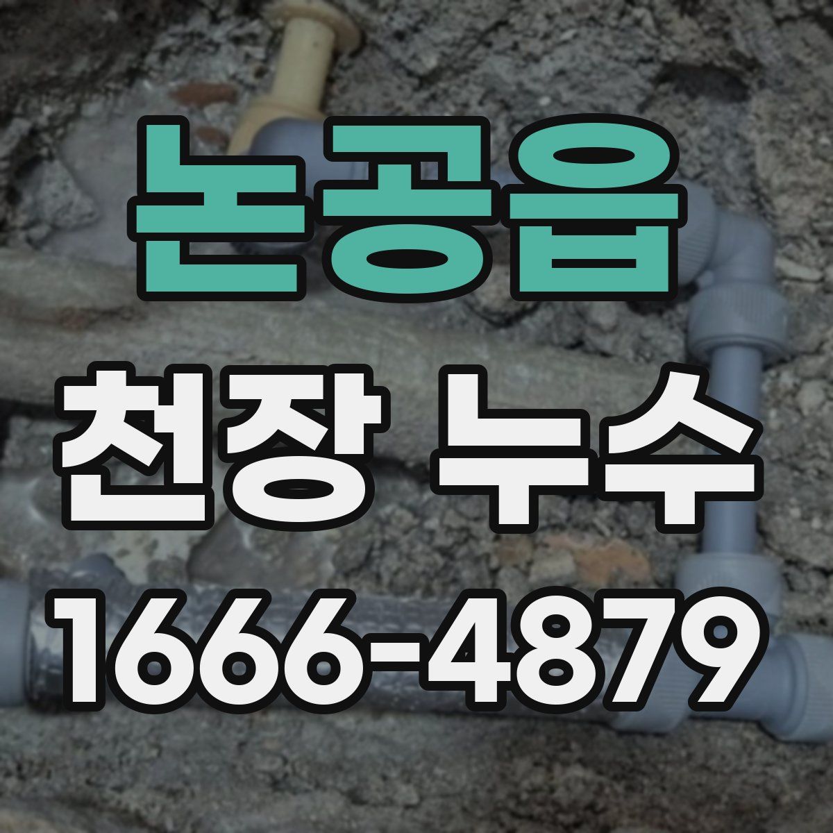 논공읍 천장 누수