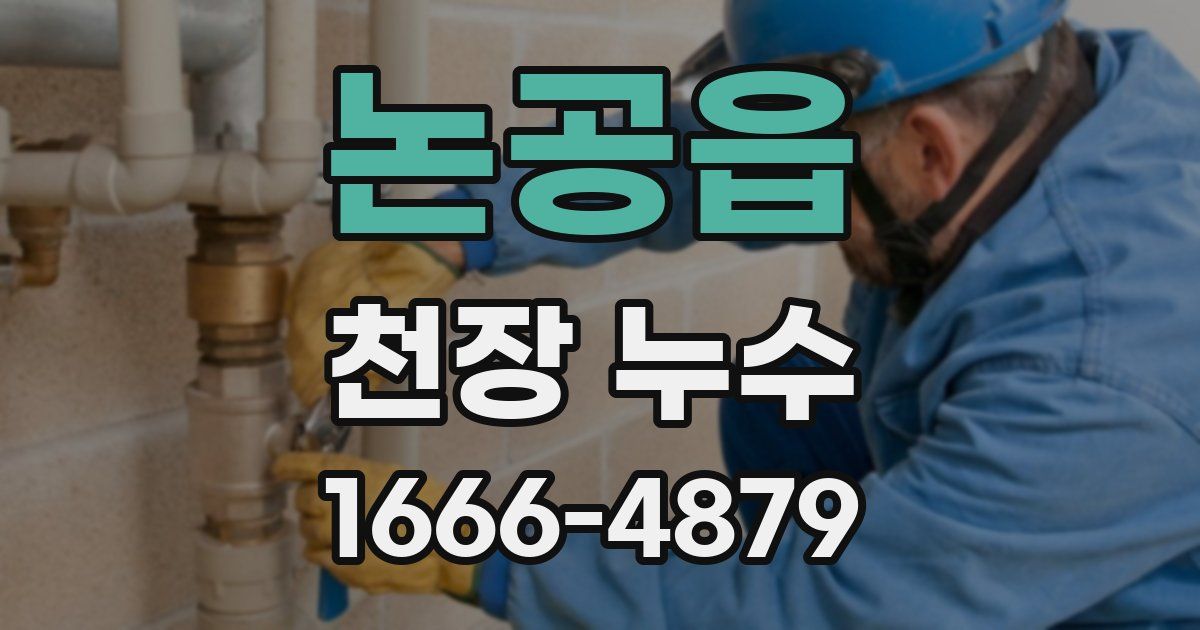 논공읍 천장 누수