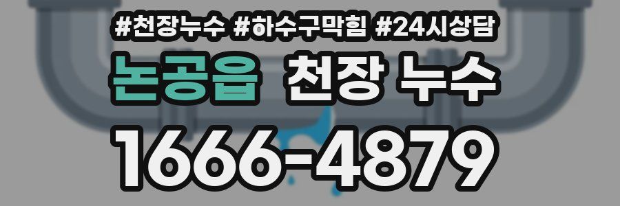 논공읍 천장 누수