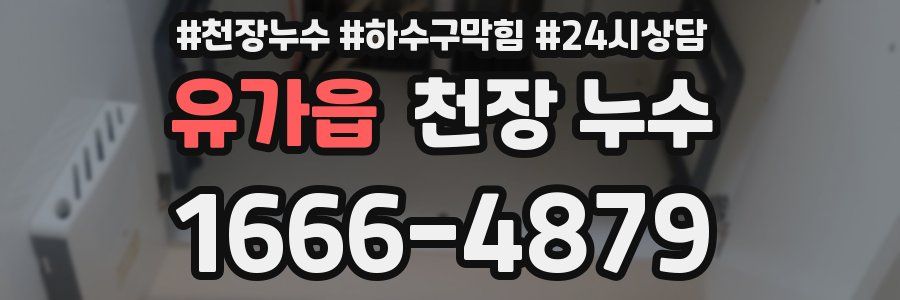 유가읍 천장 누수