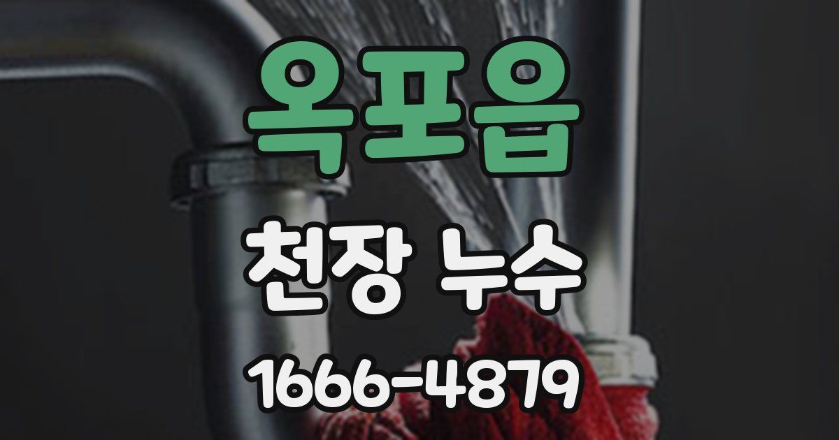 옥포읍 천장 누수