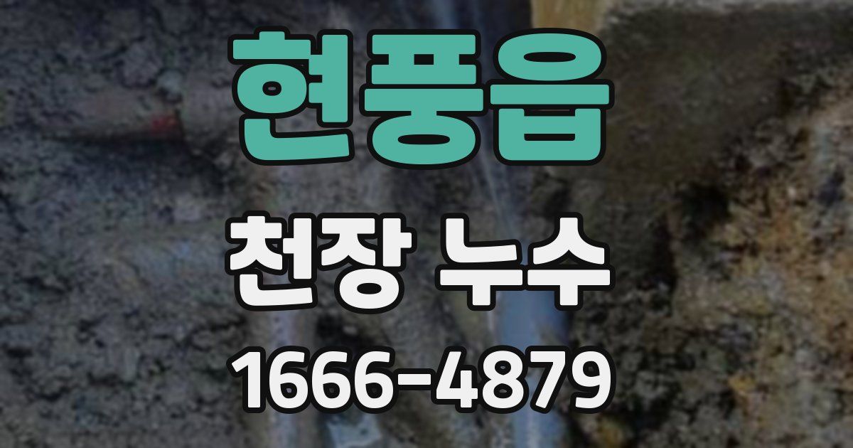 현풍읍 천장 누수