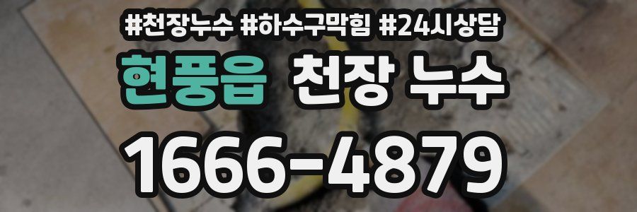 현풍읍 천장 누수