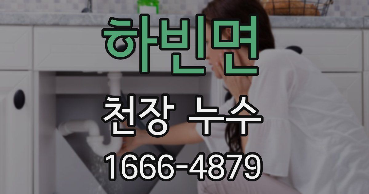 하빈면 천장 누수