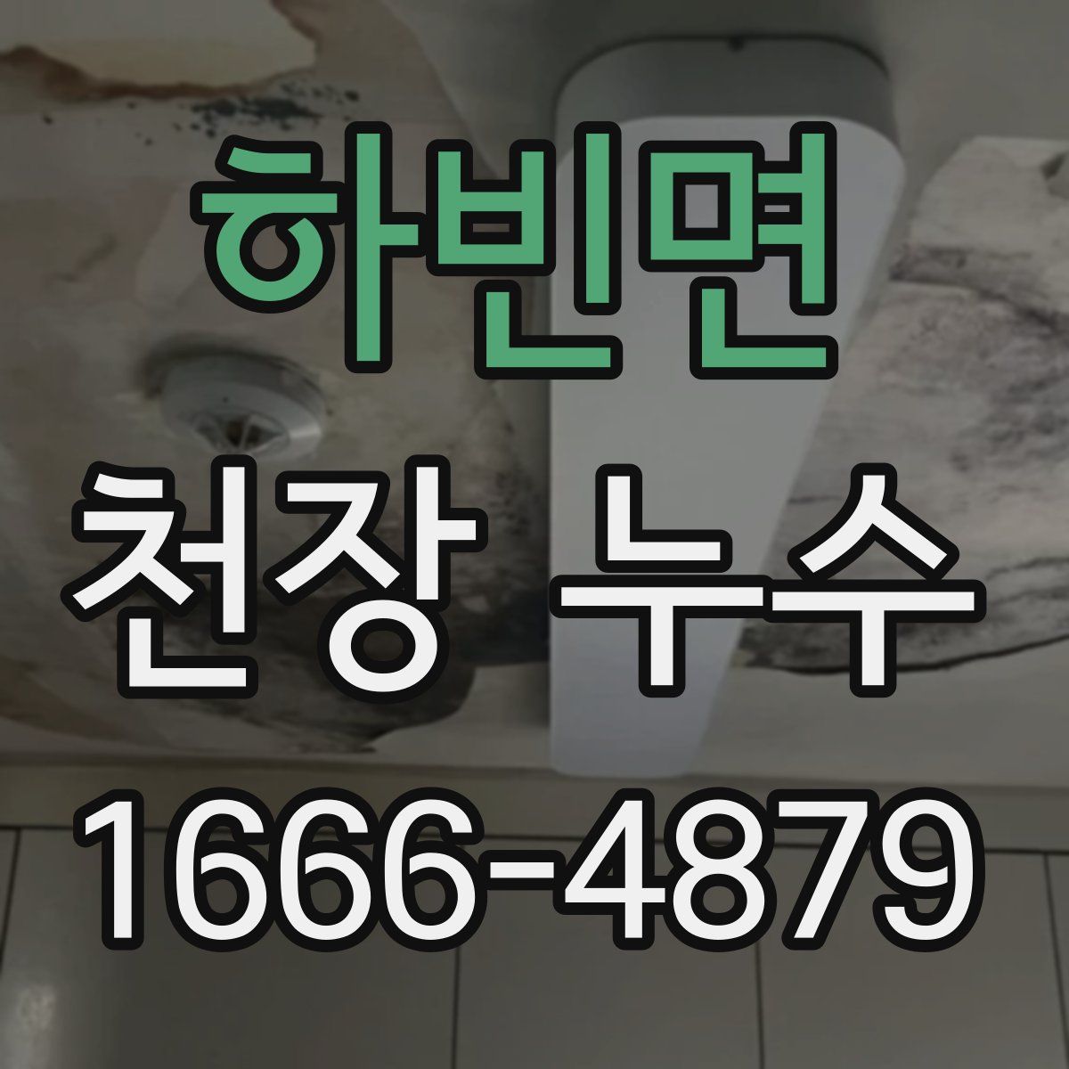 하빈면 천장 누수