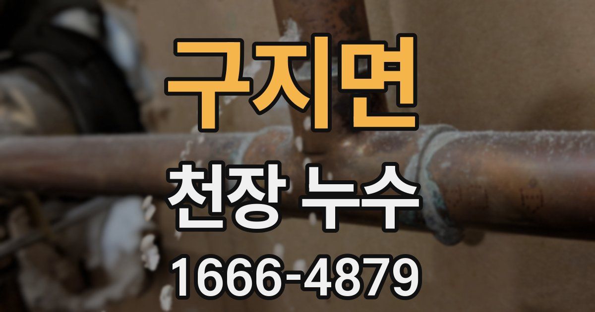 구지면 천장 누수