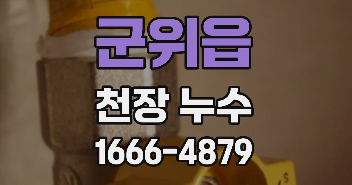 군위읍 천장 누수