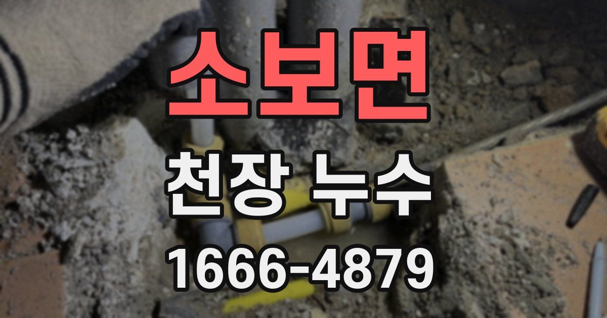 소보면 천장 누수