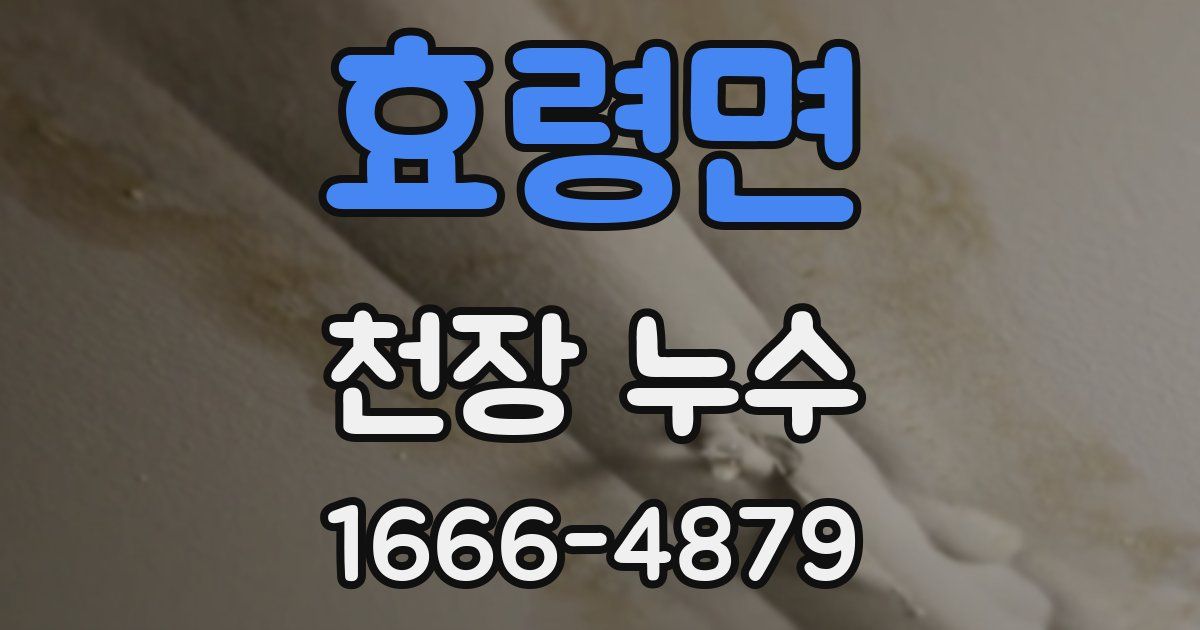 효령면 천장 누수
