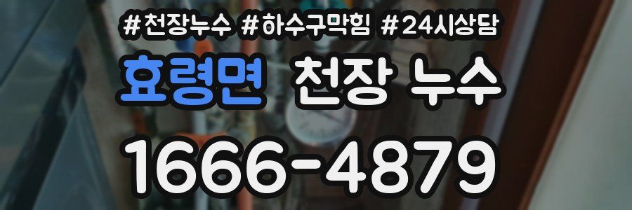 효령면 천장 누수