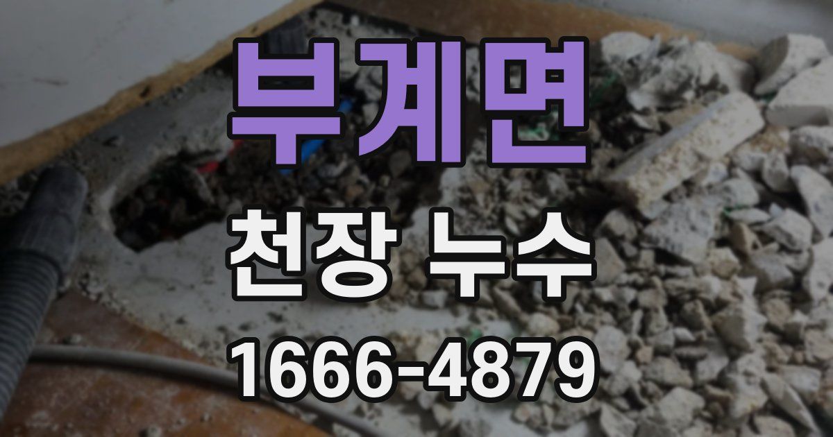 부계면 천장 누수