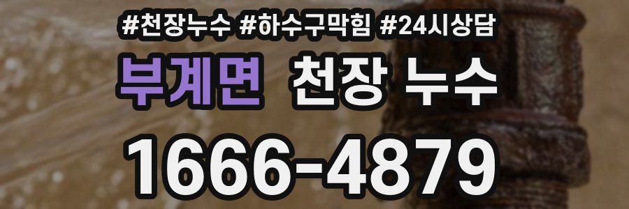 부계면 천장 누수