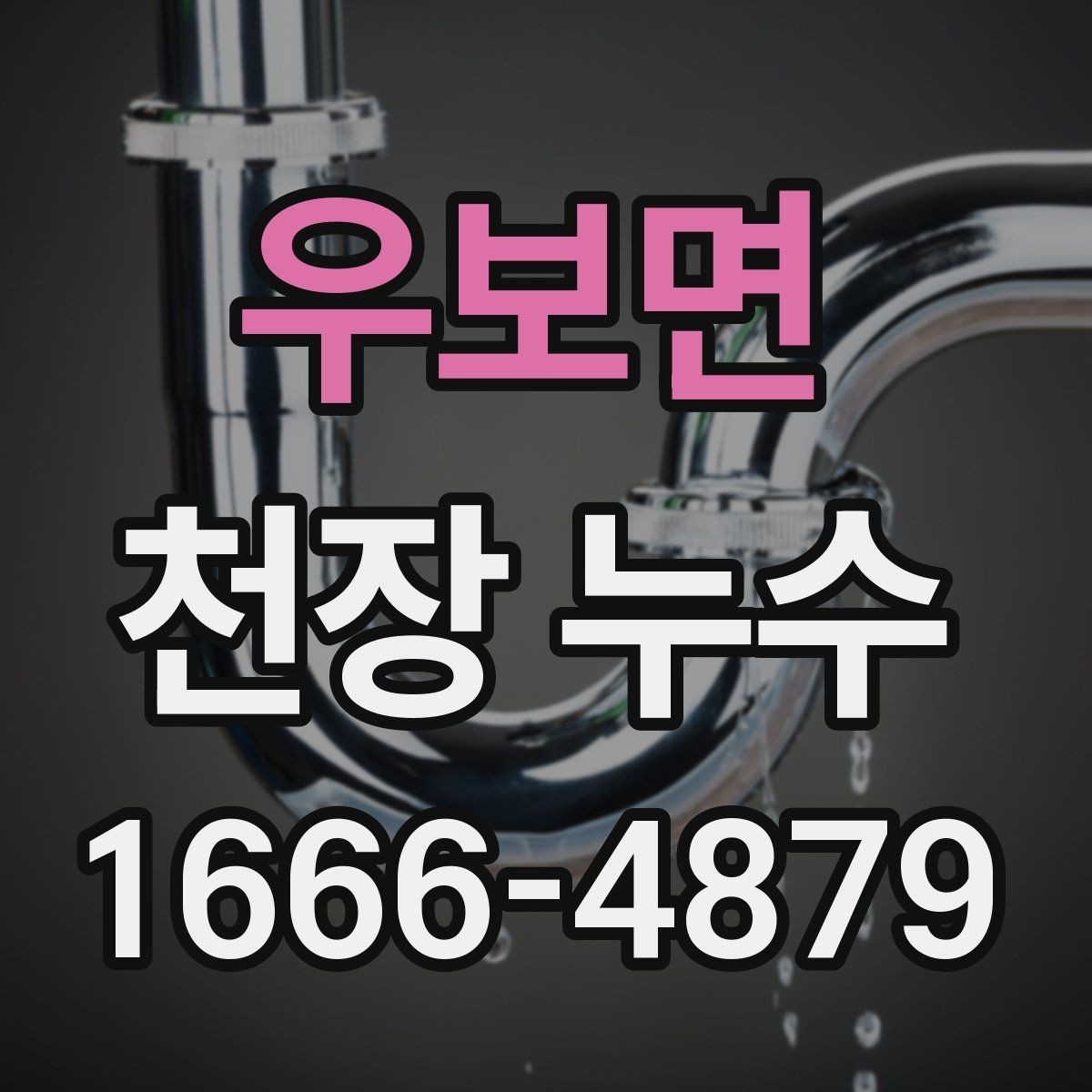 우보면 천장 누수 배수관 문제로 천장이 젖어 보일 때