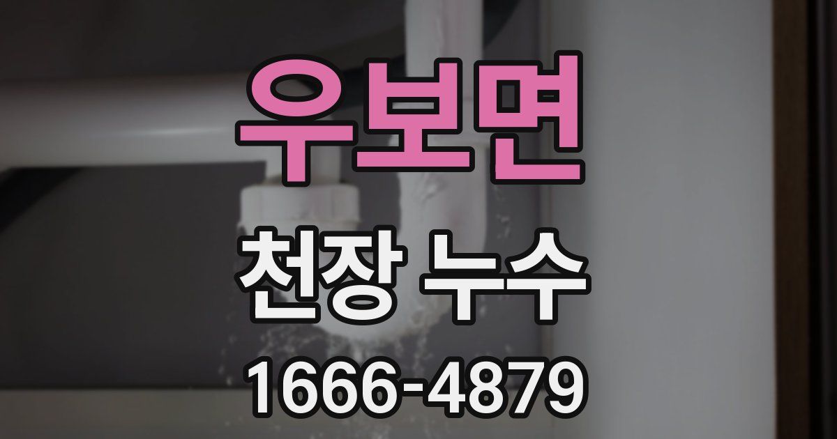 우보면 천장 누수