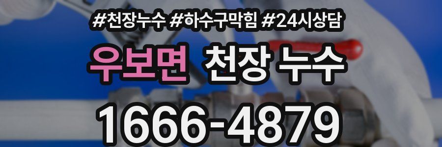 우보면 천장 누수