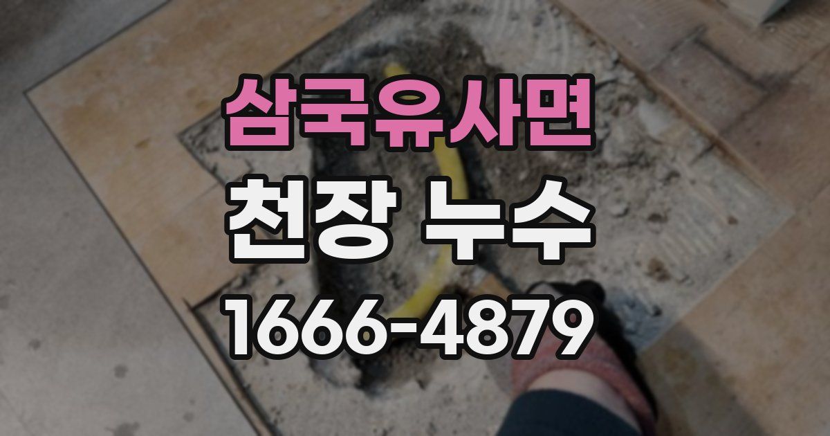 삼국유사면 천장 누수