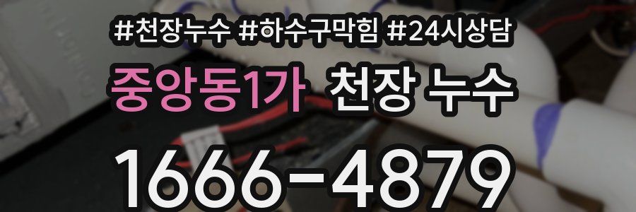 중앙동1가 천장 누수