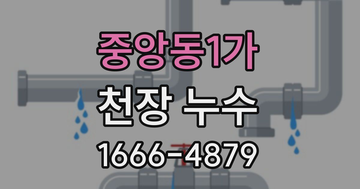 중앙동1가 천장 누수