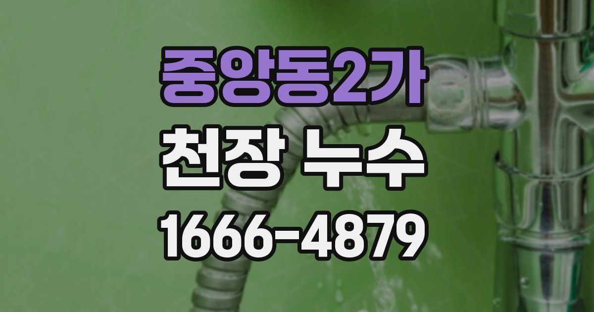 중앙동2가 천장 누수