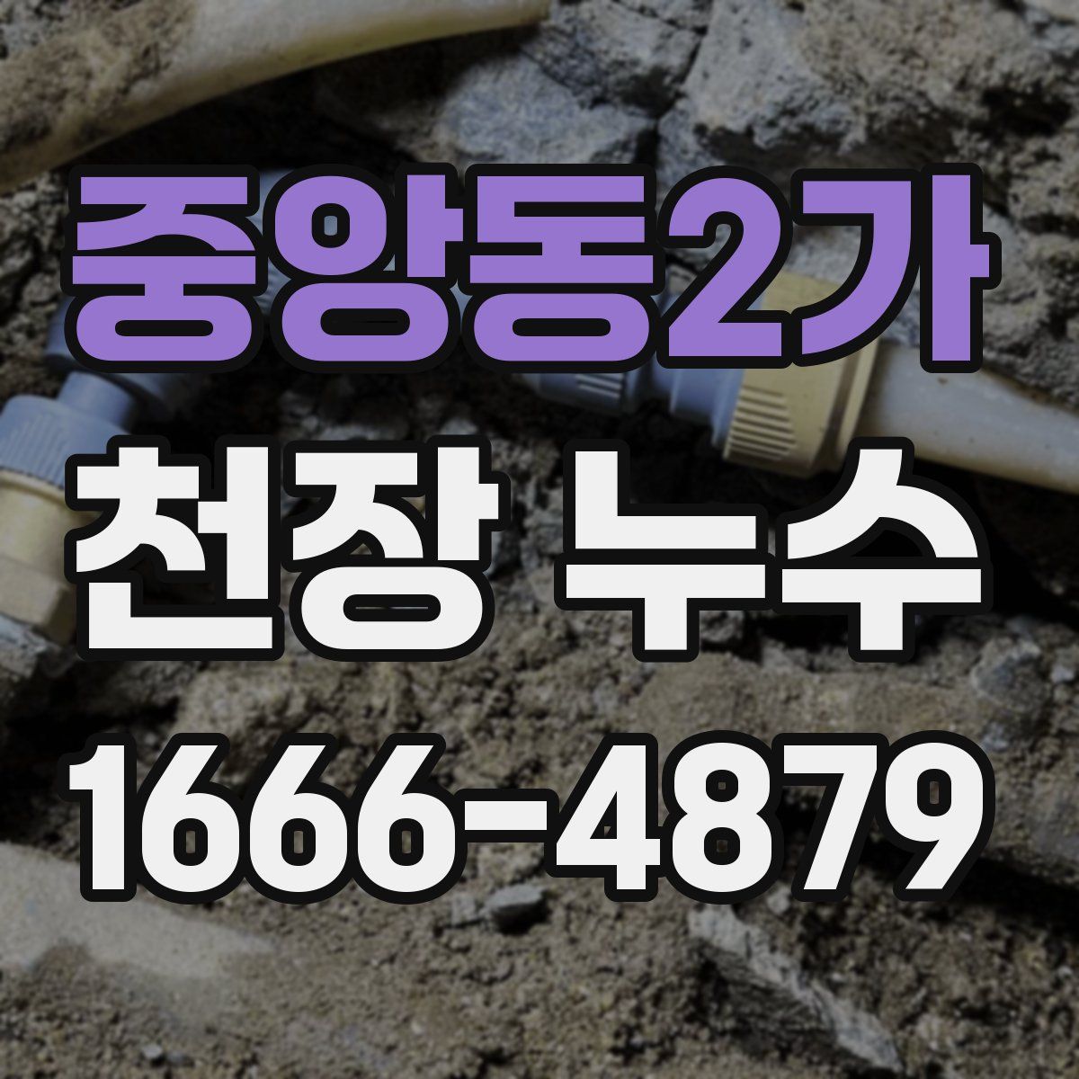 중앙동2가 천장 누수