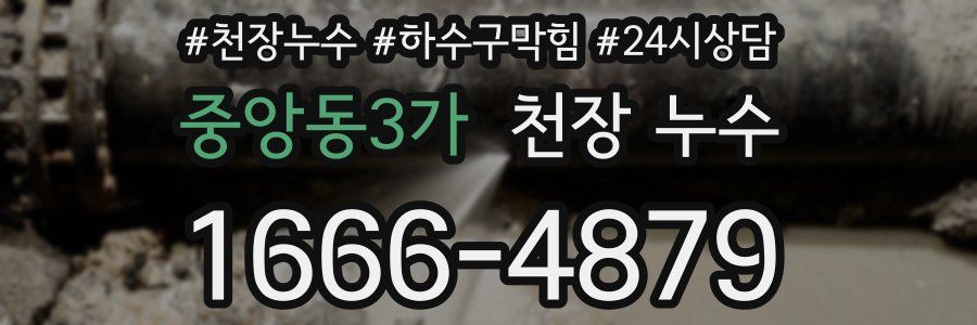 중앙동3가 천장 누수