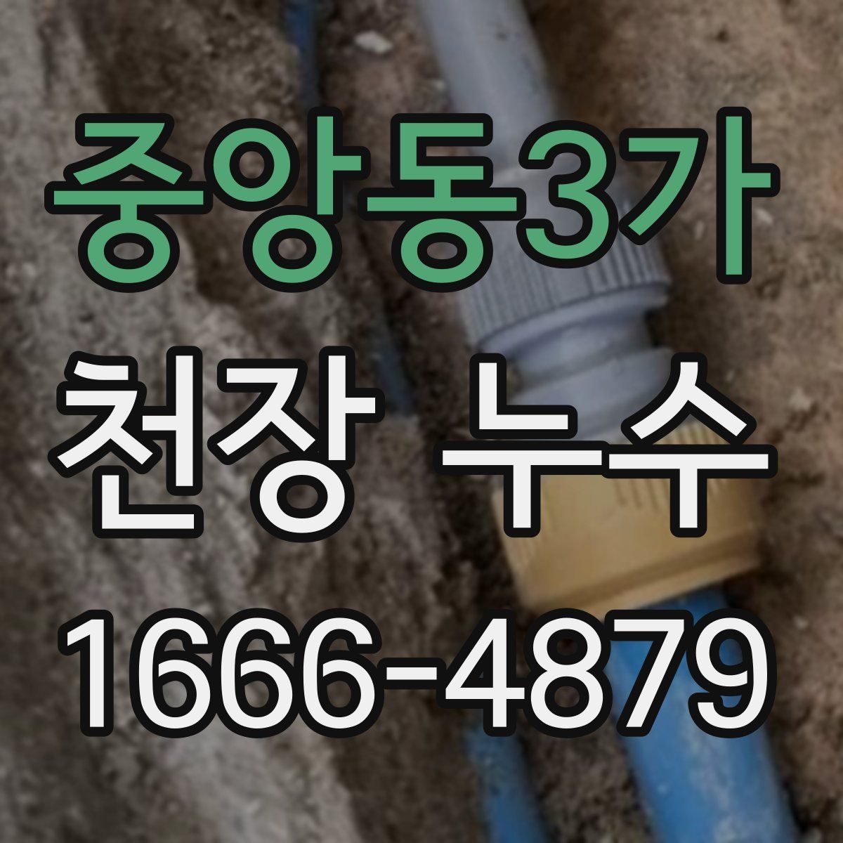 중앙동3가 천장 누수