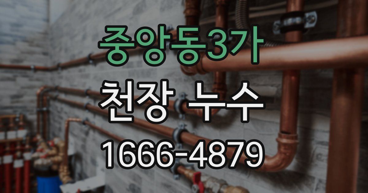 중앙동3가 천장 누수