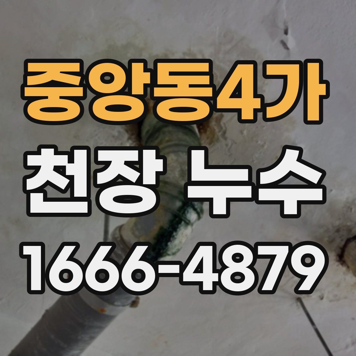 중앙동4가 천장 누수 천장 석고가 가루처럼 떨어지면 위험합니다