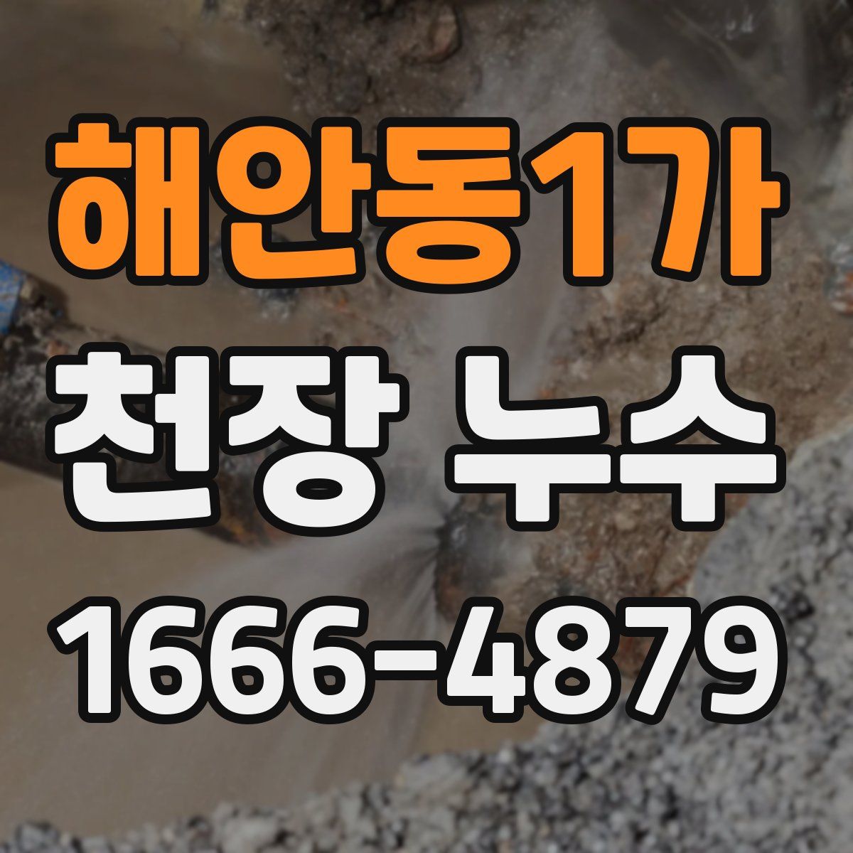 해안동1가 천장 누수