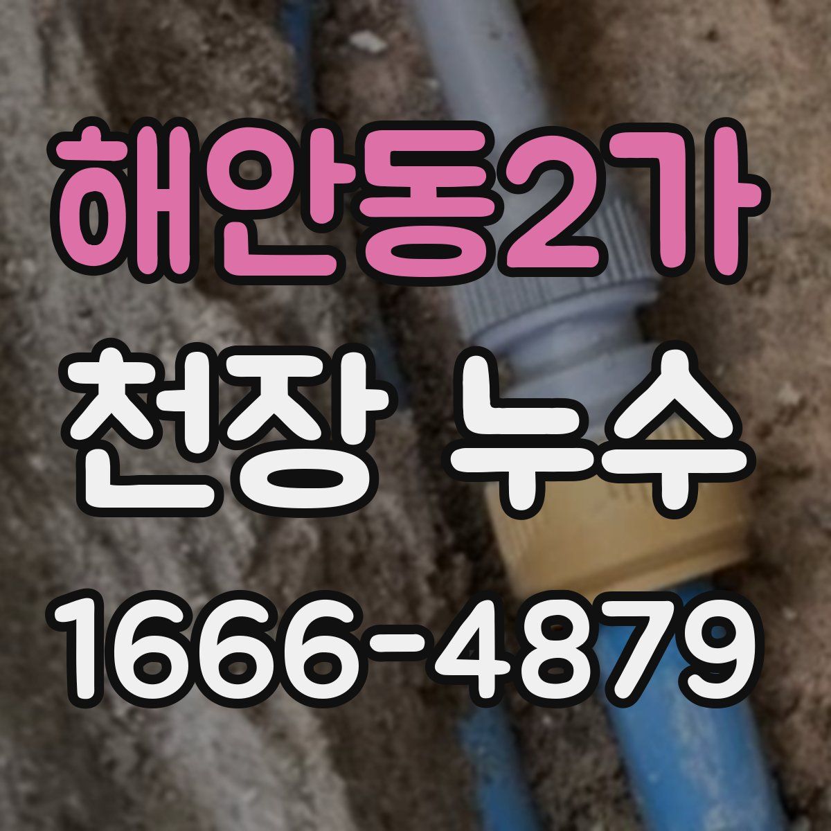 해안동2가 천장 누수