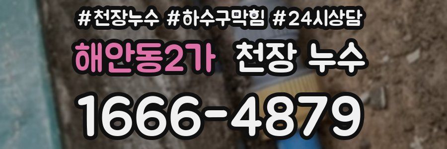 해안동2가 천장 누수