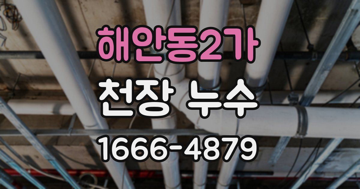 해안동2가 천장 누수