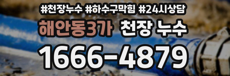 해안동3가 천장 누수