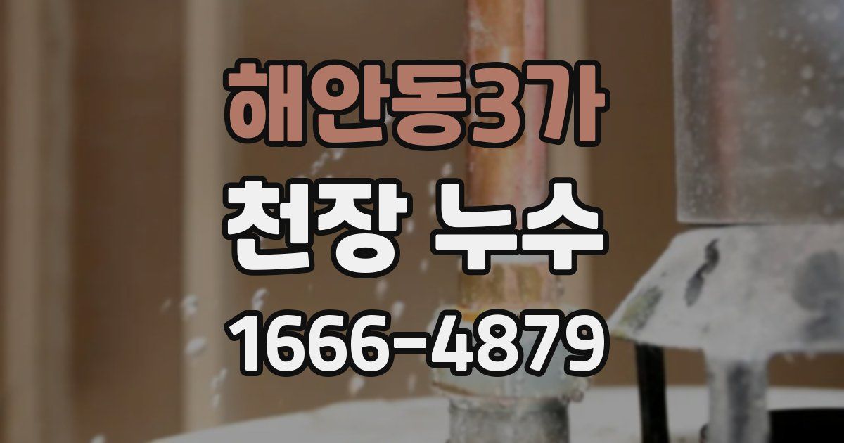 해안동3가 천장 누수