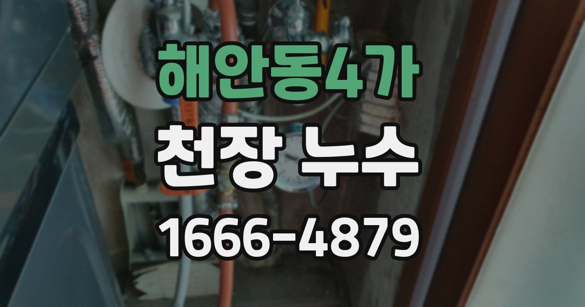 해안동4가 천장 누수