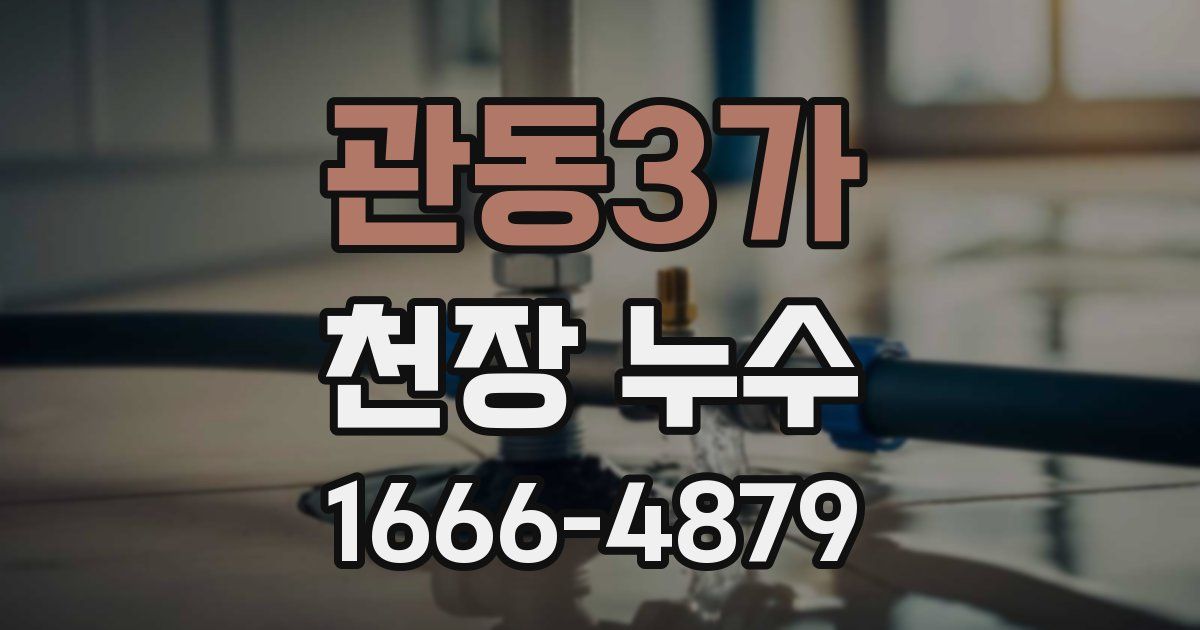 관동3가 천장 누수