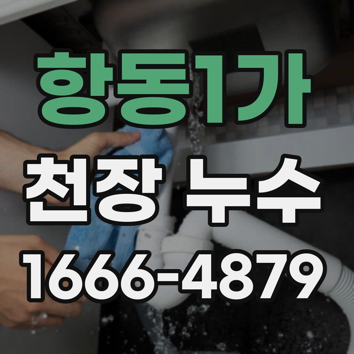 항동1가 천장 누수