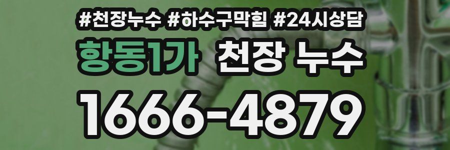 항동1가 천장 누수