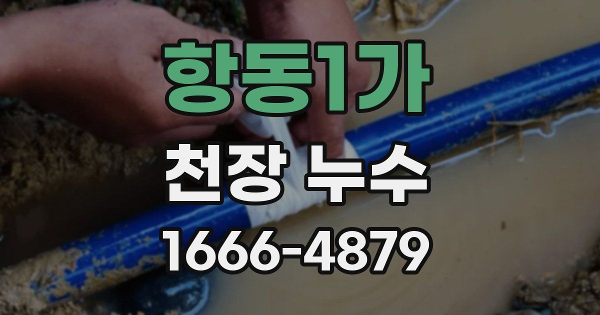 항동1가 천장 누수