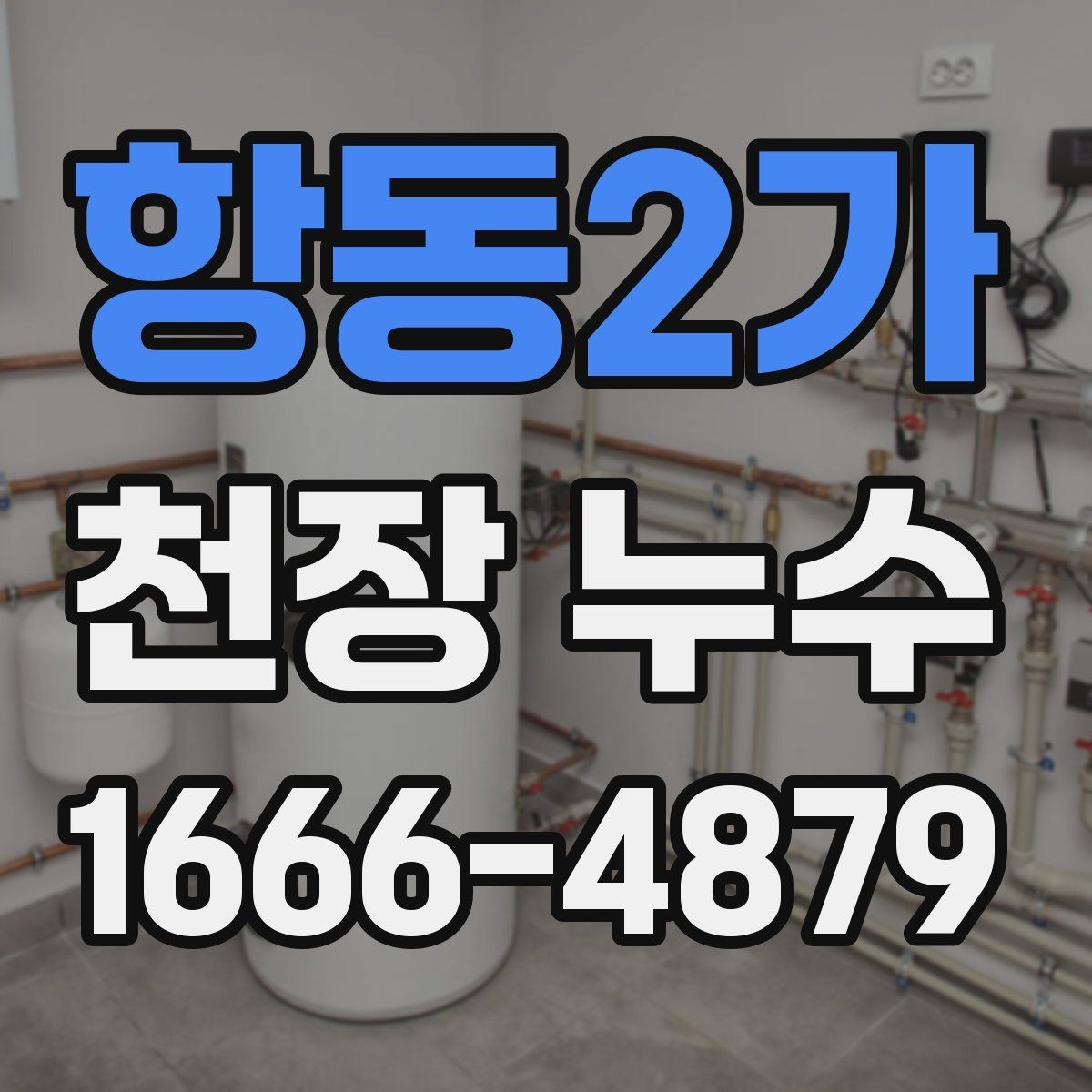 항동2가 천장 누수 배수구 역류가 천장 누수처럼 보일 수 있을까