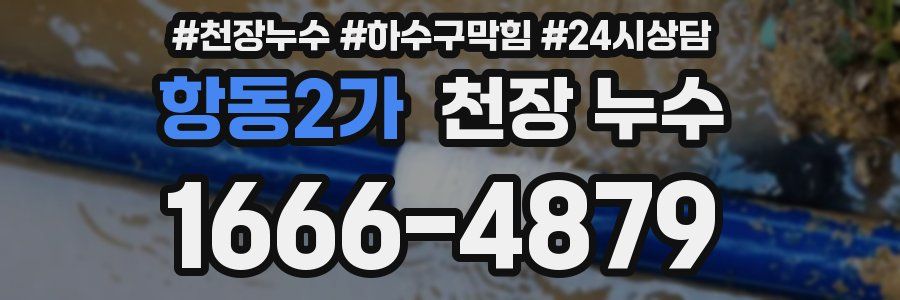 항동2가 천장 누수