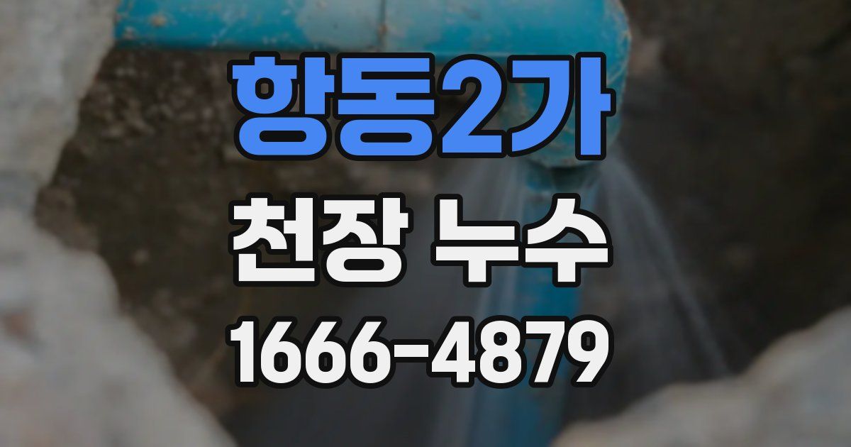 항동2가 천장 누수