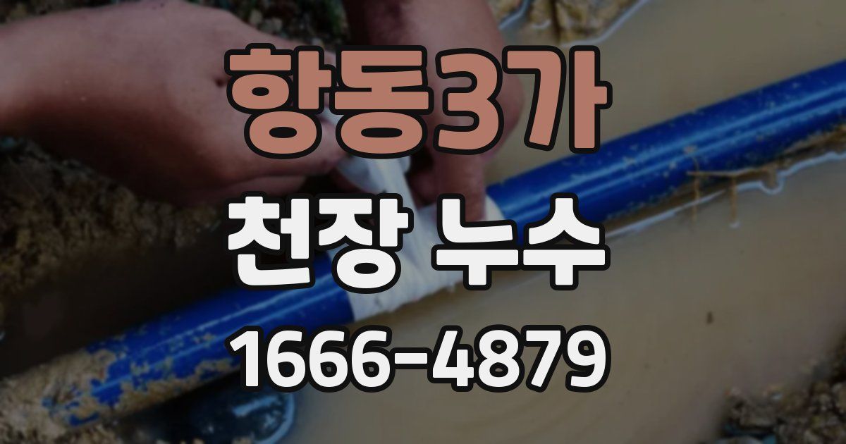 항동3가 천장 누수