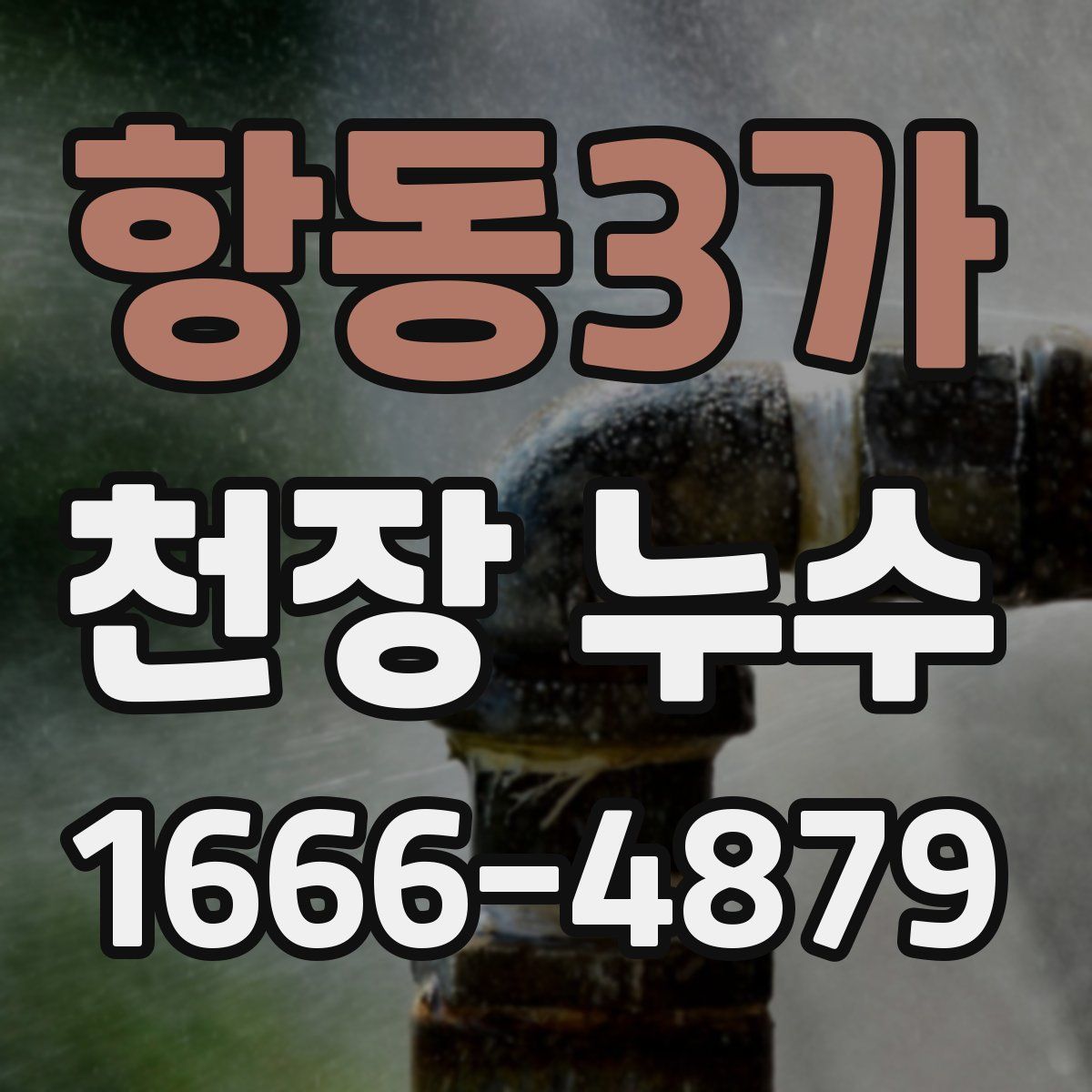 항동3가 천장 누수