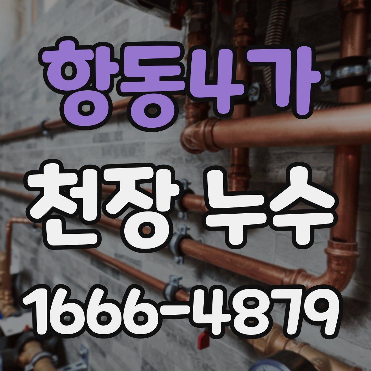 항동4가 천장 누수 배관 누수는 왜 천장에서 먼저 보일까