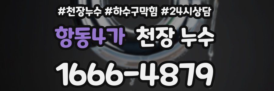 항동4가 천장 누수