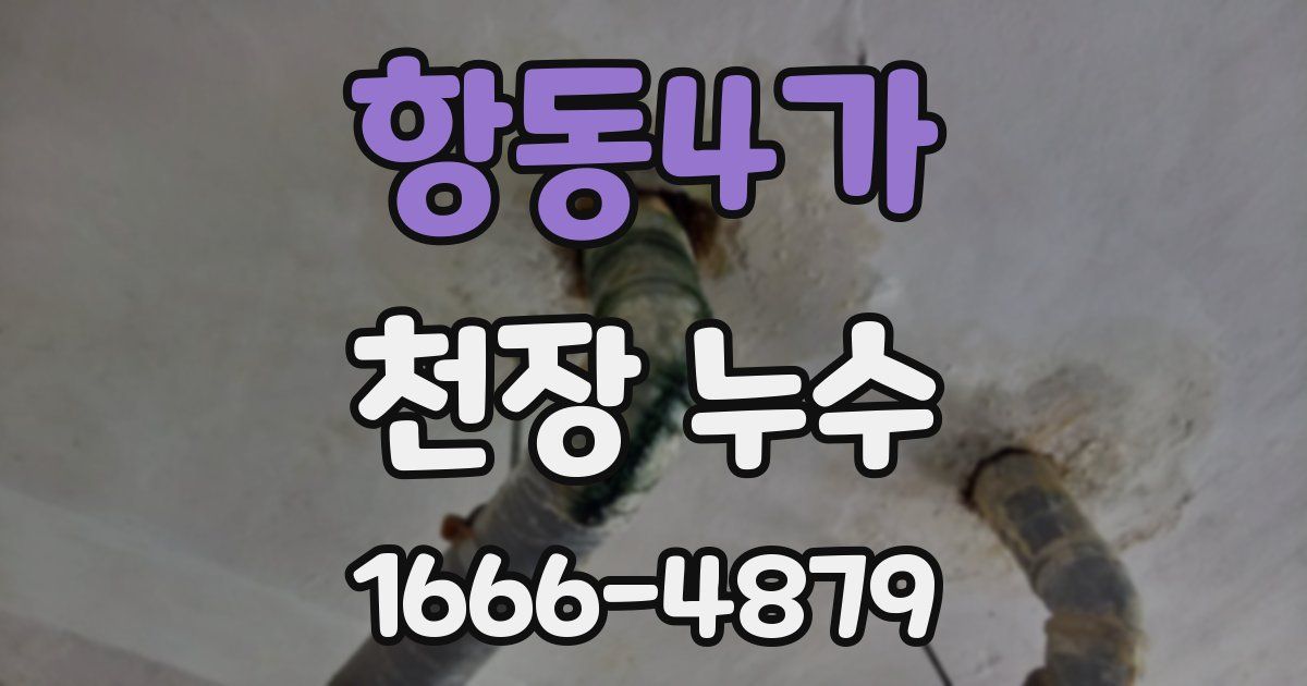 항동4가 천장 누수